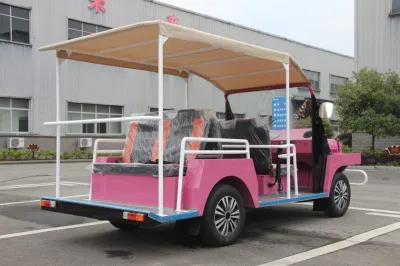 Rosa coche eléctrico Sightseeing Tour del vehículo alquiler de vehículo eléctrico