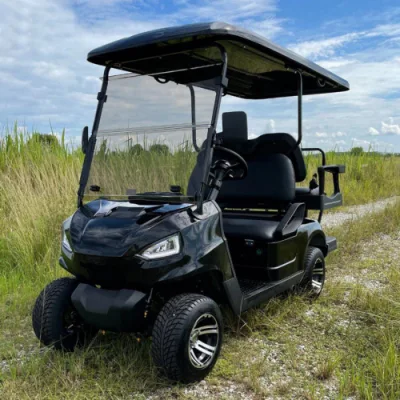 Comercio al por mayor de ancianos Custom Scooter eléctrico de baja velocidad 4 asientos para 6 carros de golf