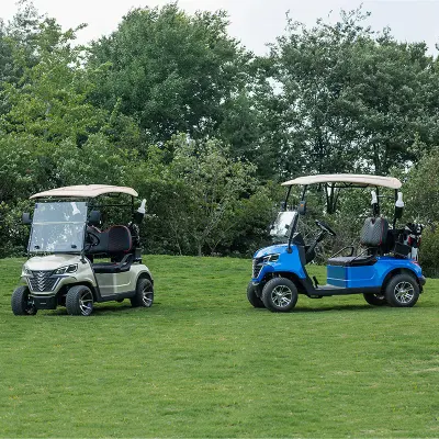 Super calidad Golf Buggy 2 asientos Forge G2 Electric Golf Carro