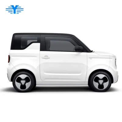 Chin 2023 coches eléctricos pequeños coches baratos Fabricante Venta directa Nuevo vehículo eléctrico de Energía para Geely Panda Mini
