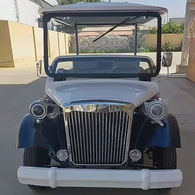 Mejor color libre personalizado 8 asientos Turismo EV Transporte turístico Vintage autobús utilitario vehículo Tour eléctrico motorizado Potencia clásica Retro Precio de venta de automóviles
