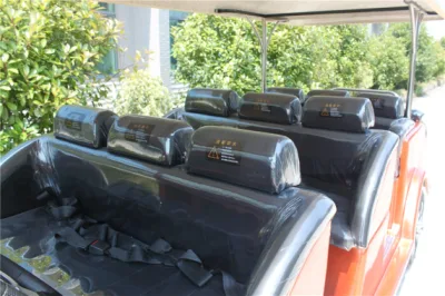 220V vehículos de transporte desde/hasta el aeropuerto Carro del centro turístico eléctrico OEM aprobado por la CE Servicios