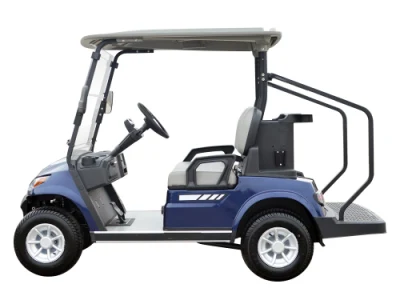 Lvtong nuevo modelo de carros de golf de 2 plazas con grandes espacios portaobjetos una827.2