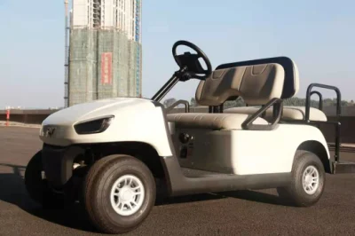 CE aprobada alimentado con batería de carro/coche de golf en venta