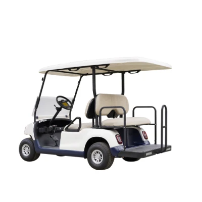 CE aprobada alimentado con batería de carro/coche de golf en venta