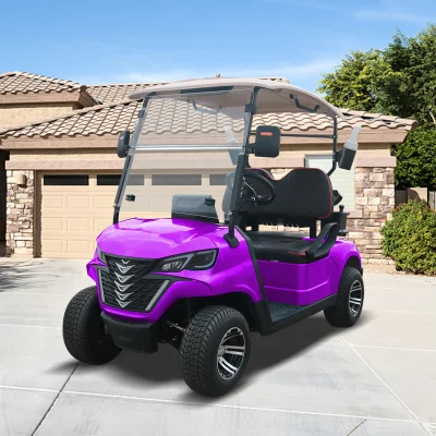 Fabricante China Mini Golf Car forjar G2 Carrito de golf eléctrico cochecito de golf