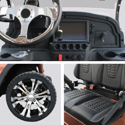 Nuevo Arriveal estilo D para socio exclusivo Nuevo diseño Wh2022K Fábrica 2 asientos de autobús turístico carrito eléctrico Golf Buggy Coche de caza