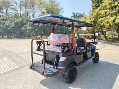 5kw asientos Golf Car 6 Motor de suspensión independiente disco de freno Dirección asistida neumáticos de 14 pulgadas Carro de Golf eléctrico