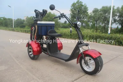 OEM hecho personalizado eléctrico carrito de golf Scooter Mini carrito de golf