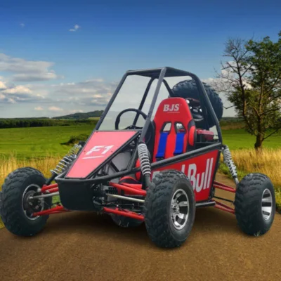 2023 Adult pedal Racing Go Kart Golf Cart