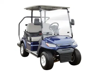 Lvtong nuevo modelo de carros de golf de 2 plazas con grandes espacios portaobjetos una827.2
