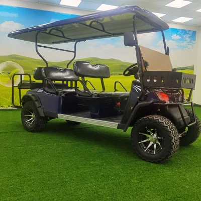Con 60V Batería Electric Beach Buggy carro de golf eléctrico utilitario