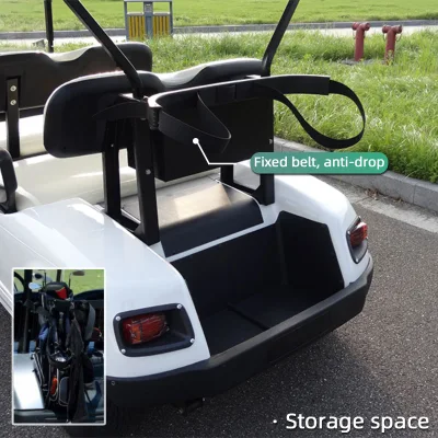 Mini Electric Sport LSV EV Motorized Golf Cart 4 Seat Para el campo de golf