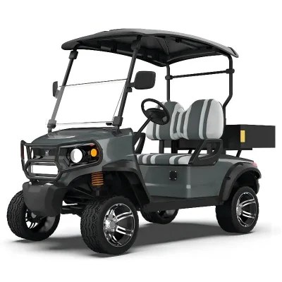 High Power off-Road Golf Cart Calle Legal 2 pasajeros eléctricos Carrito de Golf