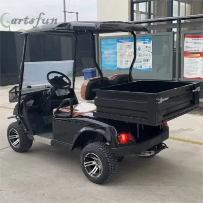2 asientos Utility Golf Carts Street Legal Golf Electric Cart Con cama cargo