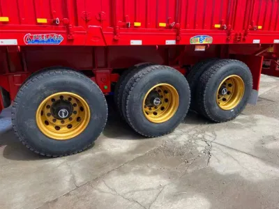 Anton′ S Trailers para camiones principales, vehículos de transporte