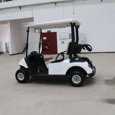 Hongchangda 72V 2/48V plazas Electric Evolution Golf Cart con CE Certificación