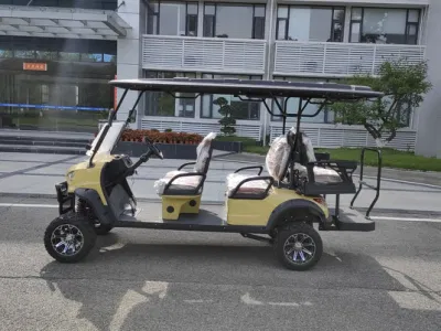 6 plazas Golf Car 6 persona Golf Cart para turistas 4 chasis de acero eléctrico de ruedas con carga