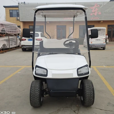 2 asientos al por mayor Golf Carts con caja de carga trasera para Ventas de coches Club