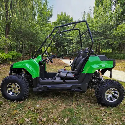OFF Road Electric UTV todo terreno vehículo Buggy Racing UTV Venta de vehículos utilitarios
