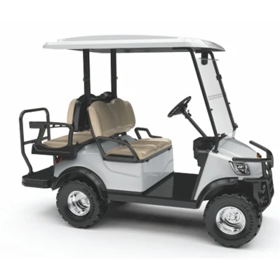 Club bonito coche levantaron el carro eléctrico vehículo alimentado por baterías de carros de golf con el parabrisas (DH-M2+2)