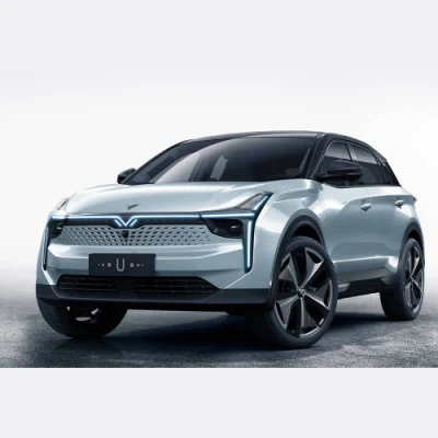 Coche nuevo caliente EV 2023 fabricado en China Street Legal Coche eléctrico para Nezha U