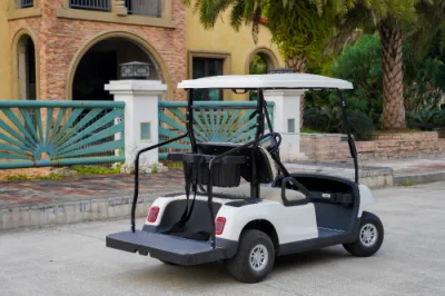 2 Asiento / 4 Asiento Carrito de Golf Inteligente Eléctrico Legal para la Calle Vehículos Garantía Completa