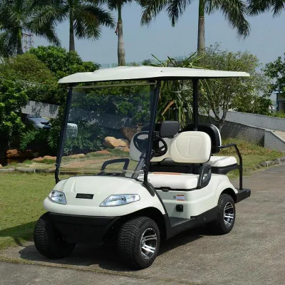 Nuevo diseño asientos plegables Carro eléctrico de Golf A2+2 para 4 Personas