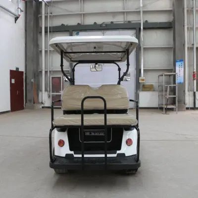 Usa Popular Golf Cart Top Range Family Use Luxury Golf Cart Street Legal con batería de litio de gran potencia