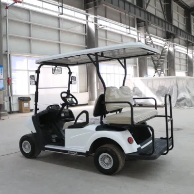 Usa Popular Golf Cart Top Range Family Use Luxury Golf Cart Street Legal con batería de litio de gran potencia