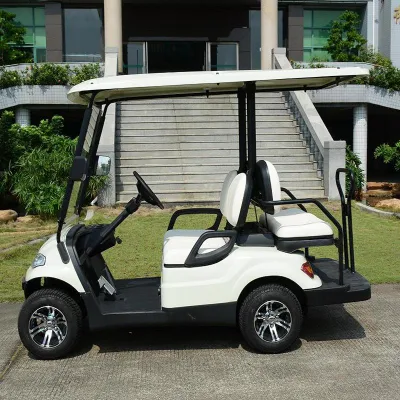 Nuevo diseño asientos plegables Carro eléctrico de Golf A2+2 para 4 Personas