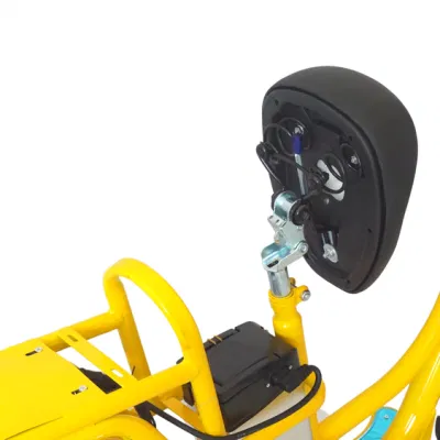 China Factory Custom-Made vehículo eléctrico Clásico de dos ruedas para mujeres mayores Bicicleta eléctrica