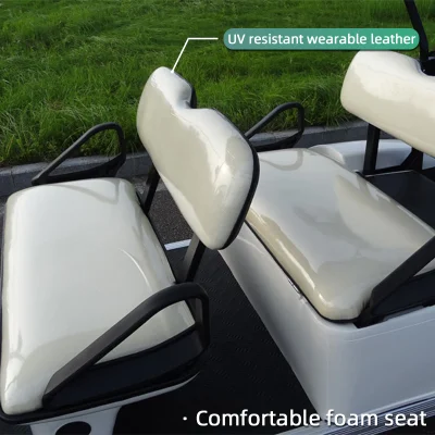 El chino Electric 30km/h pequeña utilidad Lsv curso deporte motorizado Automóvil Club de Golf eléctrico blanco Precio carro