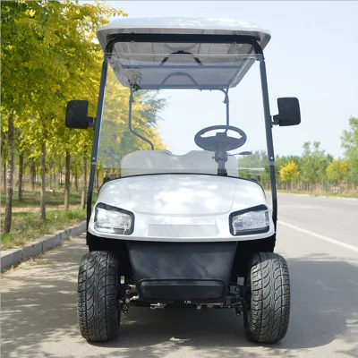 Personal 4 plazas Calle Legal Carro de Golf con Precio bajo