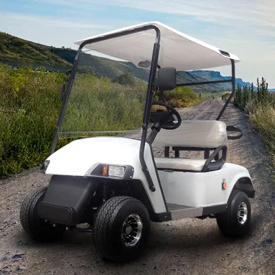 Nuevo vehículo eléctrico de batería avanzada de tipo occidental motorizado Precio de carrito de golf eléctrico
