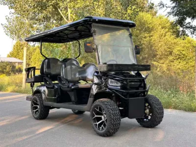 6 asientos modificado eléctrico Golf Cart World Street Legal