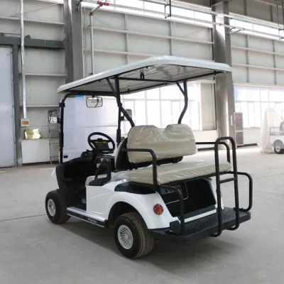 Usa Popular Golf Cart Top Range Family Use Luxury Golf Cart Street Legal con batería de litio de gran potencia