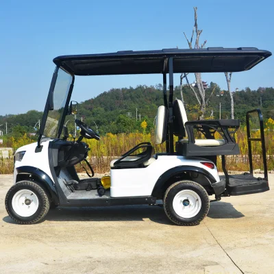 2023 Electric Club off-Road Vehicle DS Outdoor &amp; Tourist Attraction Coche turístico