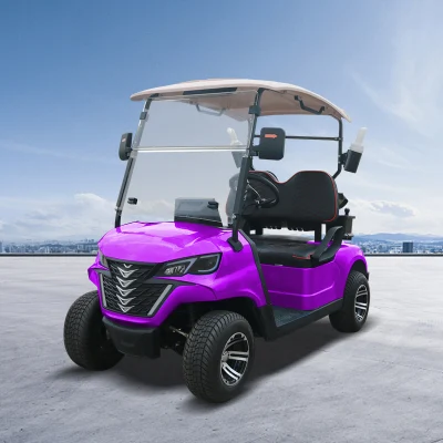 Fabricante China Mini Golf Car forjar G2 Carrito de golf eléctrico cochecito de golf