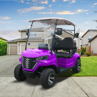 Fabricante China Mini Golf Car forjar G2 Carrito de golf eléctrico cochecito de golf
