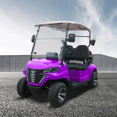Fabricante China Mini Golf Car forjar G2 Carrito de golf eléctrico cochecito de golf