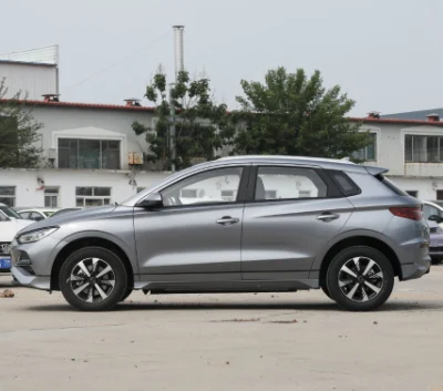 Primera elección para Compact Pure Electric Byd E2 Luxury New Vehículo eléctrico