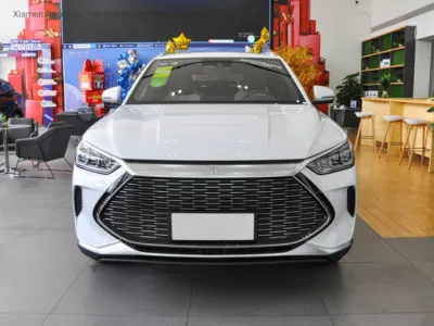 Tamaño grande 5 asientos de las 4 ruedas coche eléctrico de batería de la hoja de los vehículos SUV fabricado en China