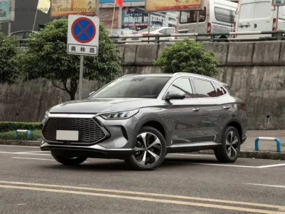 Tamaño grande 5 asientos de las 4 ruedas coche eléctrico de batería de la hoja de los vehículos SUV fabricado en China