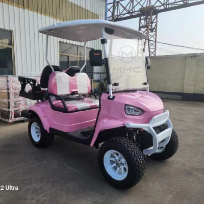 Precio 4 asientos fuera de carretera icono rápido Calle Legal Chino Mini carrito turístico Club de Golf eléctrico a la venta