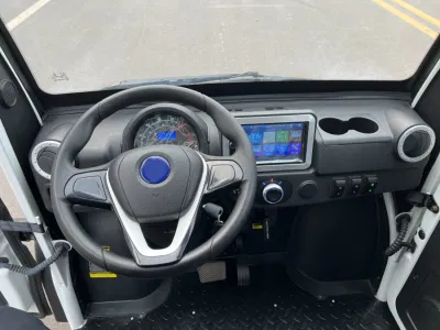 C20 camioneta de vehículos eléctricos camión eléctrico Mini eléctrico Camión para la entrega de carga urbana