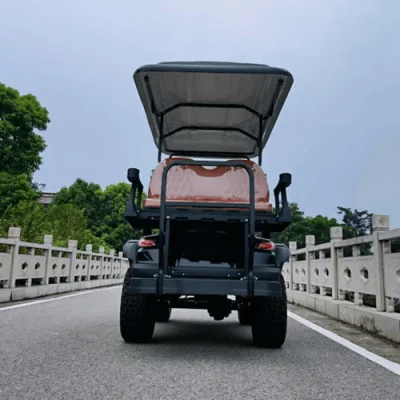 Tener listos los bienes del asiento de litio de 4 carros de golf Nuevo off road levantó carro de golf