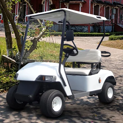 El Lujo De Lujo 1+1 plazas 2 carros de golf eléctrico precio para el campo de Golf Hotel Playa Zona de fábrica de todo el terreno de caza comunidad costera transporte dormitorio