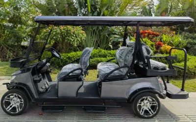 5kw asientos Golf Car 6 Motor de suspensión independiente disco de freno Dirección asistida neumáticos de 14 pulgadas Carro de Golf eléctrico