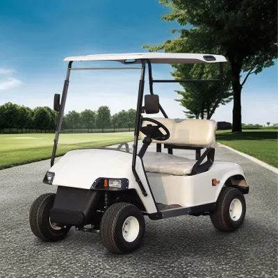 Free Color Custom 2 Seat Advanced Motorized Utility Small Golf Precio del buggy con el espacio grande del almacenamiento puede poner el carrito de golf Bolsa
